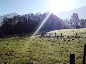 te koop bouwgrond bij skilift - Bovec - makelaar Slovenië - www.slovenievastgoed.nl