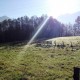 te koop bouwgrond bij skilift - Bovec - makelaar Slovenië - www.slovenievastgoed.nl