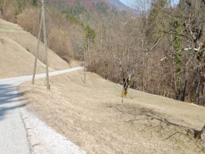 te koop boerderij Gorenja Trebusa - www.slovenievastgoed.nl