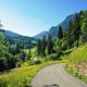 te koop boerderij Gorenja Trebusa - www.slovenievastgoed.nl