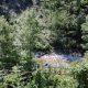 farmhouse Dolenja Trebusa For sale Real Estate Slovenia-www.slovenievastgoed.nl