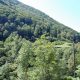 farmhouse Dolenja Trebusa For sale Real Estate Slovenia-www.slovenievastgoed.nl