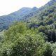 farmhouse Dolenja Trebusa For sale Real Estate Slovenia-www.slovenievastgoed.nl