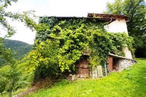 Woning te koop Potravno Slovenië - Real Estate Slovenia - www.slovenievastgoed.nl