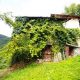 Woning te koop Potravno Slovenië - Real Estate Slovenia - www.slovenievastgoed.nl