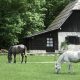 vakantiedorp Julische Alpen te koop - Real Estate Slovenia - www.slovenievastgoed.nl