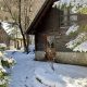 vakantiedorp Julische Alpen te koop - Real Estate Slovenia - www.slovenievastgoed.nl