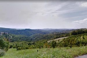For sale large estate with construction land - Real Estate Slovenia - www.slovenievastgoed.nl