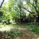 Weekendhuis te koop Trnovo - Real Estate Slovenia - www.slovenievastgoed.nl