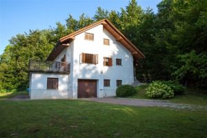 Te koop vrijstaande woning Visnji Grm - Real Estate Slovenia - www.slovenievastgoed.nl