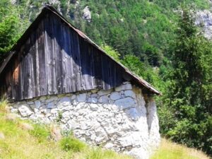 Te koop agrarische grond Trenta - Real Estate Slovenia