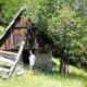 Te koop agrarische grond Trenta - Real Estate Slovenia