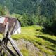 Te koop agrarische grond Trenta - Real Estate Slovenia