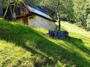 Te koop agrarische grond Trenta - Real Estate Slovenia