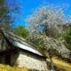 Te koop agrarische grond Trenta - Real Estate Slovenia