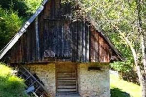 Te koop agrarische grond Trenta - Real Estate Slovenia
