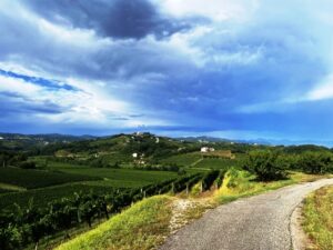 Vipolze vrijstaande woning te koop Goriska Brda - Real Estate Slovenia