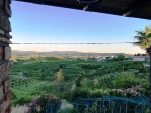 Vipolze vrijstaande woning te koop Goriska Brda - Real Estate Slovenia