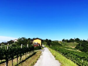 Vipolze vrijstaande woning te koop Goriska Brda - Real Estate Slovenia