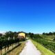 Vipolze vrijstaande woning te koop Goriska Brda - Real Estate Slovenia