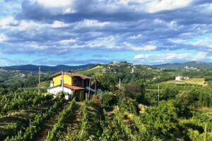 Vipolze vrijstaande woning te koop Goriska Brda - Real Estate Slovenia