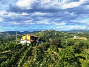 Vipolze vrijstaande woning te koop Goriska Brda - Real Estate Slovenia